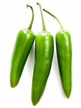 20 Seeds Jalapeno Pepper Jalapeno Poppers Heirloom Seeds Swift Garden Upgrade - £6.60 GBP