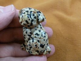 (Y-DOG-SH-563) spotted SHAR PEI PUG gemstone carving dog SHARPEI stone F... - $15.79