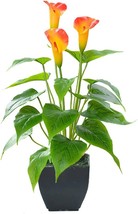 Artificial Flower Plants Calla Lily Faux Small Potted Plant with Black Pot Fake - £30.36 GBP