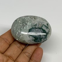 74.1g, 2.3&quot;x1.7&quot;x0.8&quot;, Tree Agate Palm-Stone Reiki Energy Crystal Reiki, B29498 - £7.16 GBP
