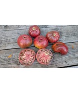 Dwarf Tomato Seeds- Purple Reign, Heirloom, Deep Purple, Determinate 70-... - $68.17 MXN+