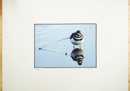 Tom Adams Nature Photography Killdeer Wildlife Bird Oregon Photo Art 11X14 - £19.87 GBP