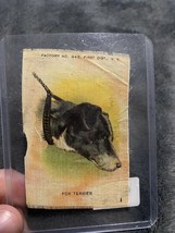 VINTAGE 1900s TOBACCO SILK FOX TERRIER FACTORY NO 649 - £18.32 GBP