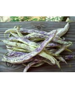 Dragon&#39;s Tongue 10 Beans Wax Bush Heirloom Large Cream Purple pods Non GMO - $2.66