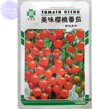 Redunugar Tasty Cherry Tomato 40 pack optimized organic mini vegetable frui - $9.95