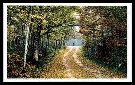 MICHIGAN Postcard - Mackinac Island, Autumn Scene, Leaf Covered Dirt Road F36 - £3.15 GBP
