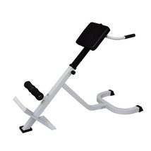 vidaXL Back Extension Bench - $3,354.65 MXN