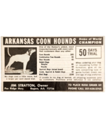 1973 Arkansas Coon Hounds Breeder Advertisement Jim Stratton Dogs Pets D... - $367.32 MXN