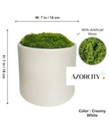 Pots with Artificial Moss - $380.13 MXN