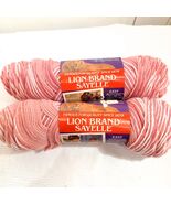 Lion Brand Sayelle yarn #246 blush ombre pink variegated 2 skeins 4 Ply ... - $352.88 MXN