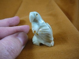 (y-bir-pa-5) PARROT Macaw bird white tan gemstone SOAPSTONE carving I lo... - £6.73 GBP