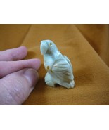 (y-bir-pa-5) PARROT Macaw bird white tan gemstone SOAPSTONE carving I lo... - £6.41 GBP