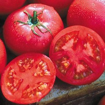Eva Purple Ball Tomato Seeds Organic US Fast Shipping - $1.98