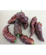 SEEDS- Pepper Hot-10 Leviathan Gnarly Scorpion Caramel-Rare Unique Textu... - $4.27