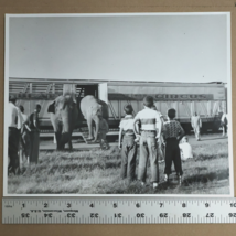 1960s Clyde Beatty Circus Train Car Elephant Car Unloading 8x10in Origin... - $35.00