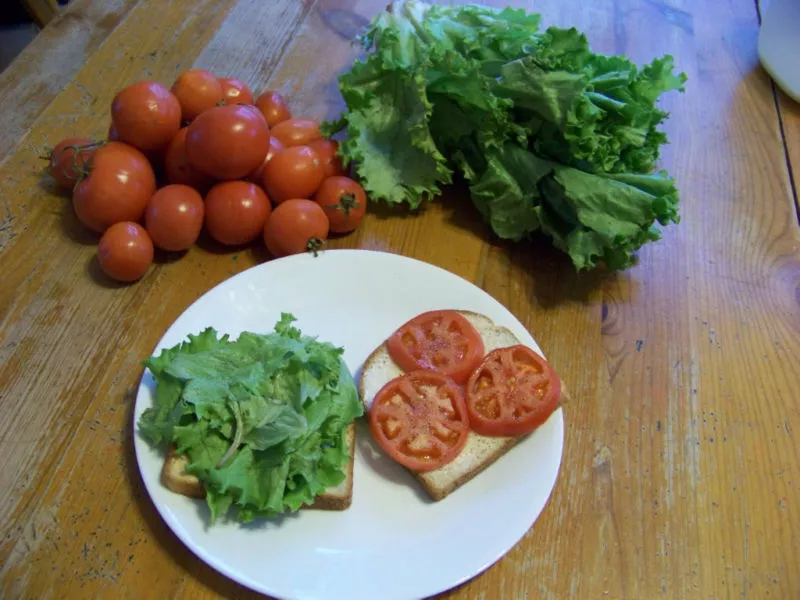 Tomato Arkansas Traveler Heirloom 25 Seeds - £4.17 GBP