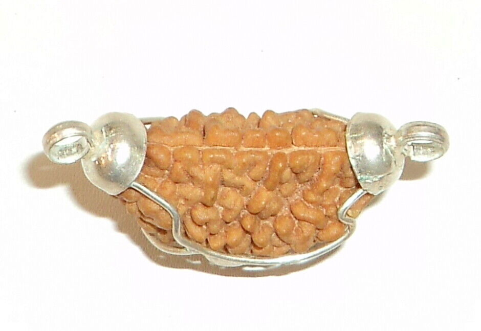 1 Mukhi Rudraksha In Pure Silver - Lab Certified - $93.28
