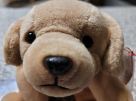 TY Beanie Babies Fetch The Golden Retriever Dog Plush Toy Stuffed Animal - $16.78