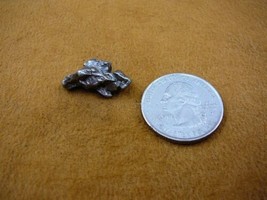 (x262-64) 5 g Campo del Cielo iron meteorite 1576 shrapnel fragments spe... - $14.01