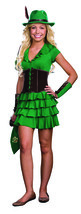 Robyn da Hood Teen/Junior Costume - Teen Large - £98.78 GBP