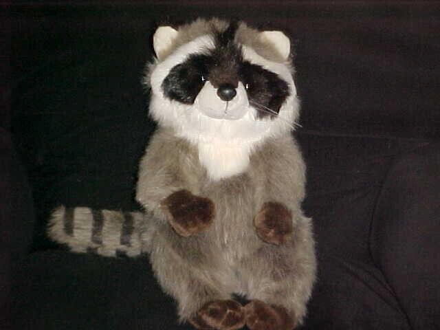 15" Singing Lazy Boy Raccoon Plush Toy By Plush Creations From 1991 - £46.70 GBP