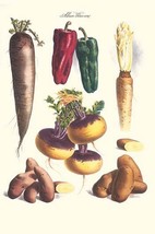 Vegetables; Bell peppers, turnips, potato, bok choy &amp; tubers by Philippe... - £17.53 GBP+