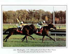 1975 - NOBILIARY winning Washington D.C. International - Color - 10&quot; x 8&quot; - £15.75 GBP