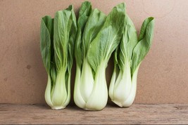 500+ Pak Choi - Dwarf White Stem Cabbage Seeds - Heirloom Organic Fresh Garden - $8.36