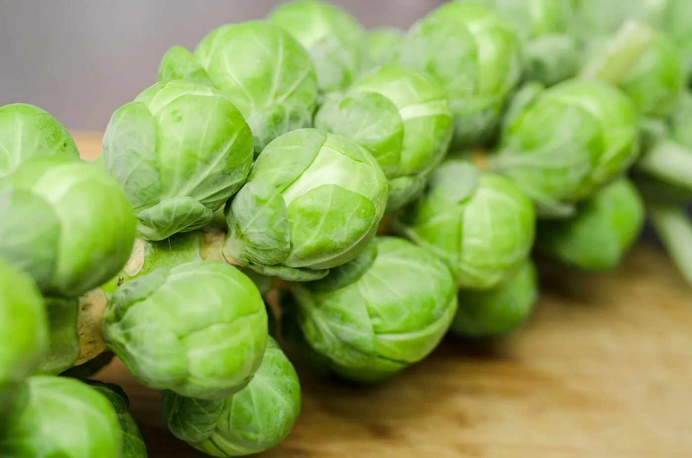 750 Fresh Seeds. Long Island Brussels Sprouts Seeds | NON-GMO | Heirloom  - £5.58 GBP