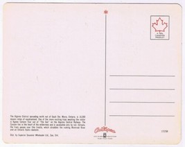 Postcard Train Agawa Canyon Tour Ontario 5 1/4 x 6 3/4 - £3.09 GBP