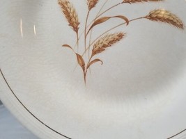 Edward M Knowles Semi Vitreous China 10.25 inch Dinner Pkate Crazing - £6.80 GBP