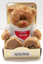 Beverly Hills Teddy Bear Co. Stuffed Animal Heart &quot;You&#39;re Special&quot;  Plus... - £9.42 GBP