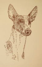 Ibizan Hound Dog Art Portrait Print #28 Kline adds dog name free. WORD D... - $49.45