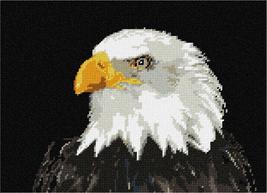 Pepita Needlepoint Canvas: Eagle, 12&quot; x 9&quot; - £67.56 GBP+