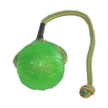 Starmark Swing and Fling Chew Ball for Dogs  - $36.00