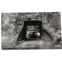 Vintage Real Photo Postcard Chandelier Drive Through Tree Underwood Park... - $9.50