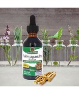 Natures Answer - Ashwagandha Extract Promotes Energy - 2 fl. oz./ 60 ml ... - $541.18 MXN