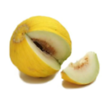 50 Seeds Golden Beauty CASABA MELON Cucumis Melo Fruit - $18.00