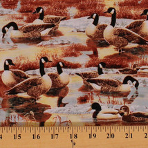 Canadian Geese Ducks Birds Fall Swamp Lake Canada Cotton Fabric BTY D465.09 - $10.95