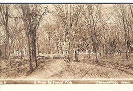 Shenandoah Iowa IA 1908 RPPC Forest Park Band Stand Benches Homes City Park - $10.73