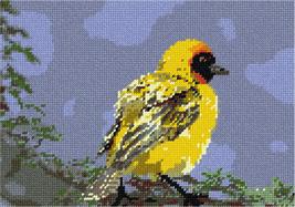 Pepita needlepoint kit: Southern Masked Weaver, 10&quot; x 7&quot; - $50.00+