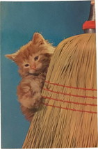 Postcard, The &quot;Sweepy&quot; One, cute kitten, broom, P35681 - £7.98 GBP