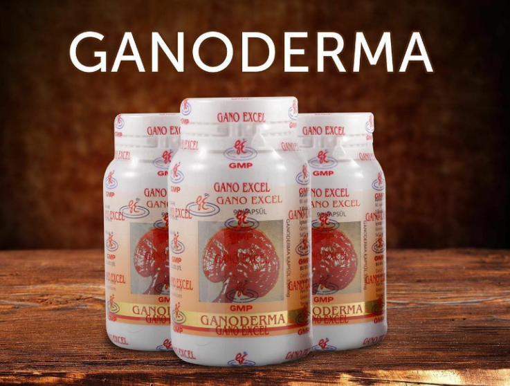 3 x Bottles Gano Excel GANODERMA LUCIDUM 90 Caps Strengthen Immune Body EXPRESS - $99.99
