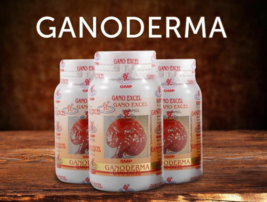 3 x Bottles Gano Excel GANODERMA LUCIDUM 90 Caps Strengthen Immune Body ... - $99.99