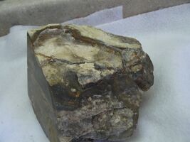 Brown Zebra Rough Agate Crystal Mineral Specimen #R138 - $4.00