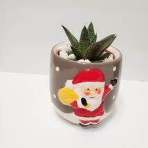 Santa Succulent Planter with Aloe Plant, Holiday Plant Pot, GasterAloe Flow - £15.68 GBP