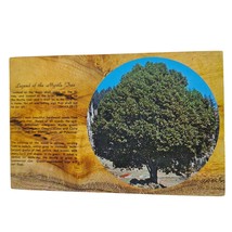 Postcard Legend Of The Myrtle Tree Chrome Unposted - $6.92