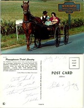 Pennsylvania(PA) Intercourse Dutch Country Horse Carriage Children VTG Postcard - £7.51 GBP