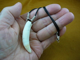 (G155-6r) 2-1/2&quot; GATOR Aligator ALLIGATOR Tooth teeth 20&quot; black NECKLACE... - $49.99