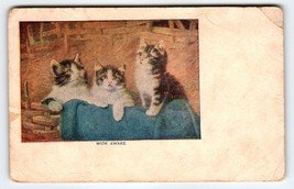 Kittens Cats Wide Awake Postcard Vintage Series 587 Artist Signed E. Graham - £4.94 GBP